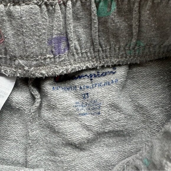 Champion | Gray & Pastel Allover Print French Terry Shorts | Size 2T - Picture 7 of 9